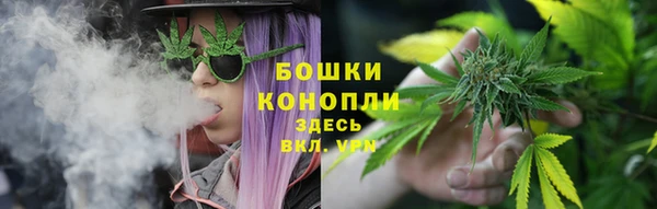 стаф Беломорск