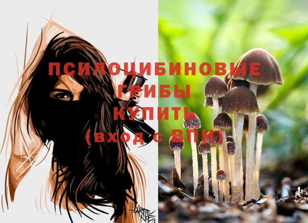 гидропоника Белокуриха