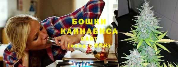 гидропоника Белокуриха