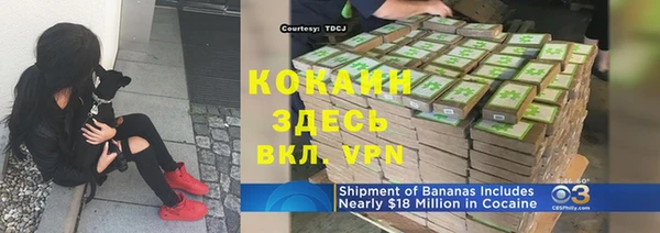 дурь Пересвет